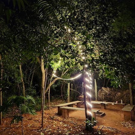 Nebula Nest Cafe & Hostel Auroville Luaran gambar
