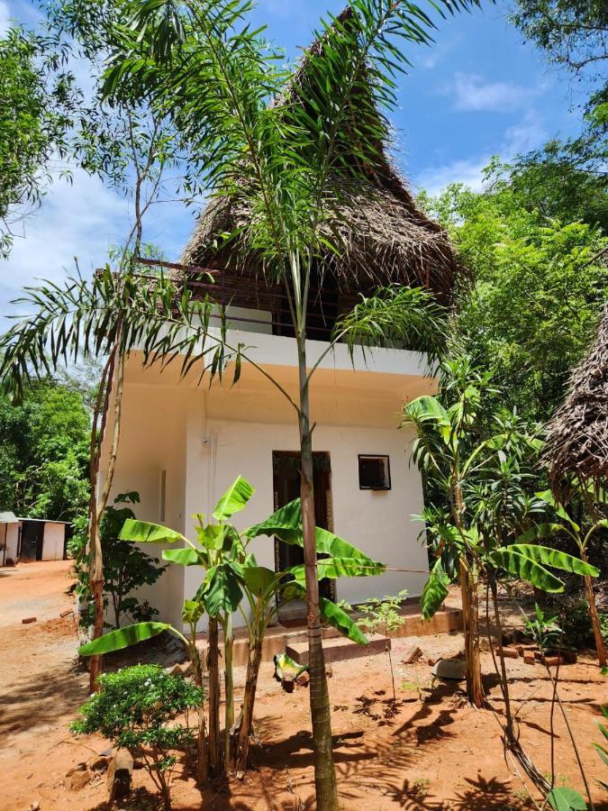 Nebula Nest Cafe & Hostel Auroville Luaran gambar