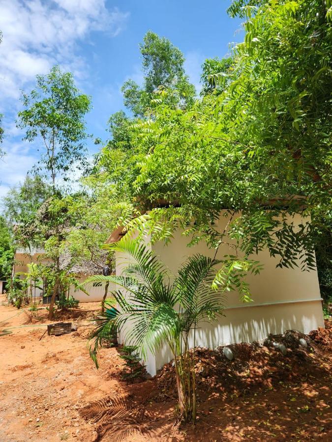 Nebula Nest Cafe & Hostel Auroville Luaran gambar
