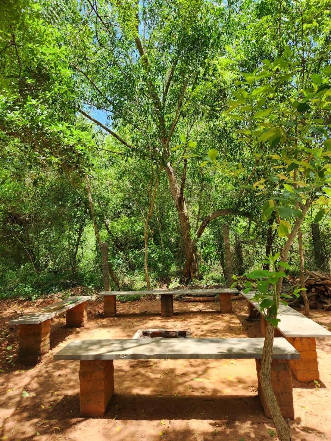 Nebula Nest Cafe & Hostel Auroville Luaran gambar