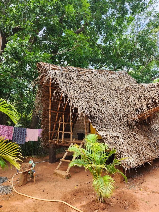 Nebula Nest Cafe & Hostel Auroville Luaran gambar