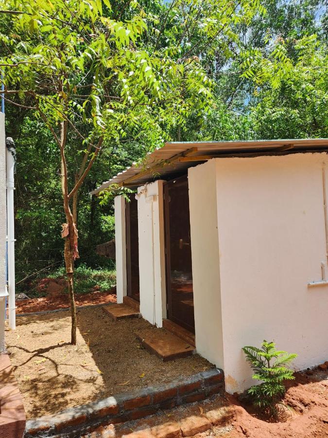 Nebula Nest Cafe & Hostel Auroville Luaran gambar
