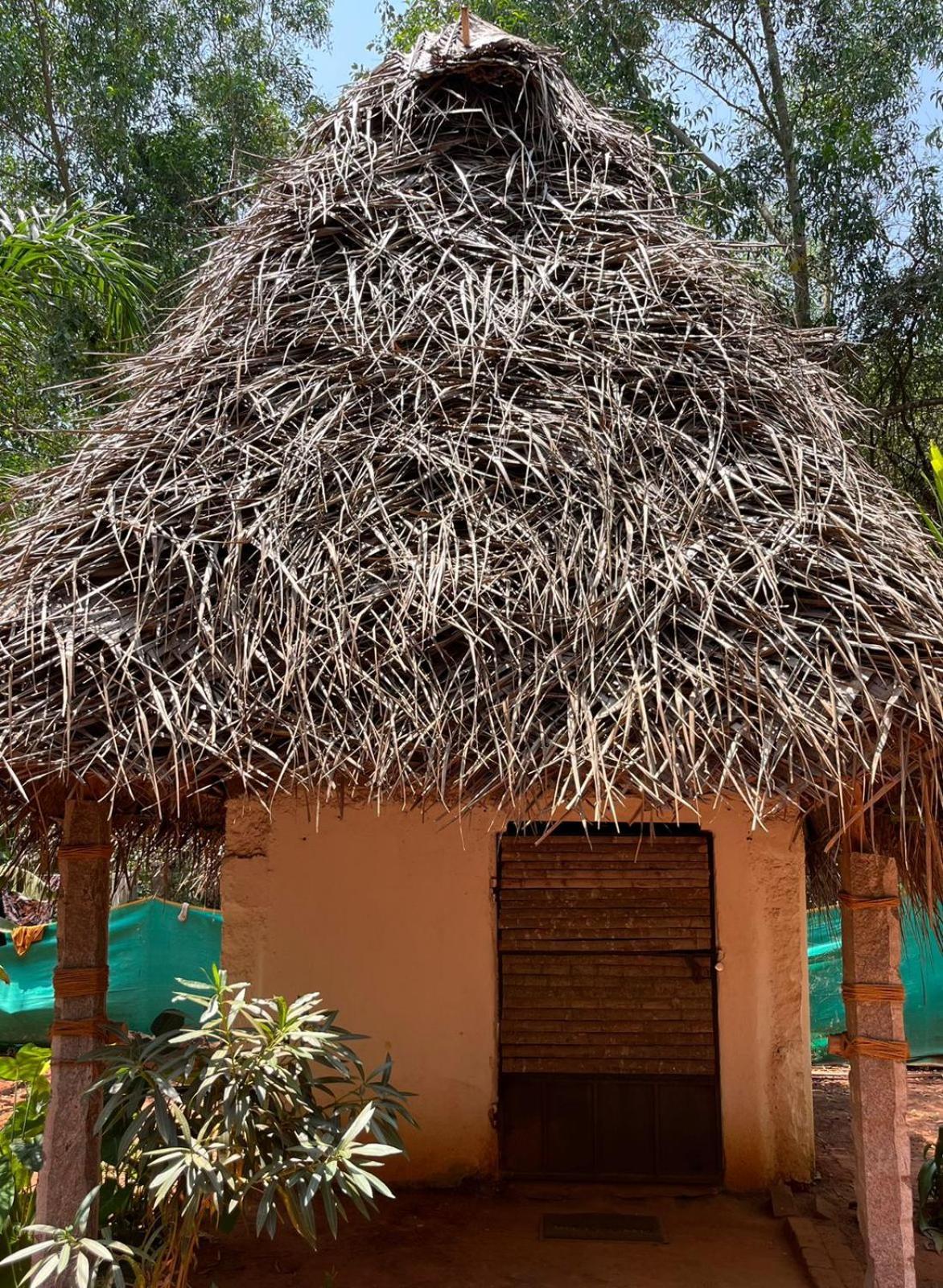 Nebula Nest Cafe & Hostel Auroville Luaran gambar