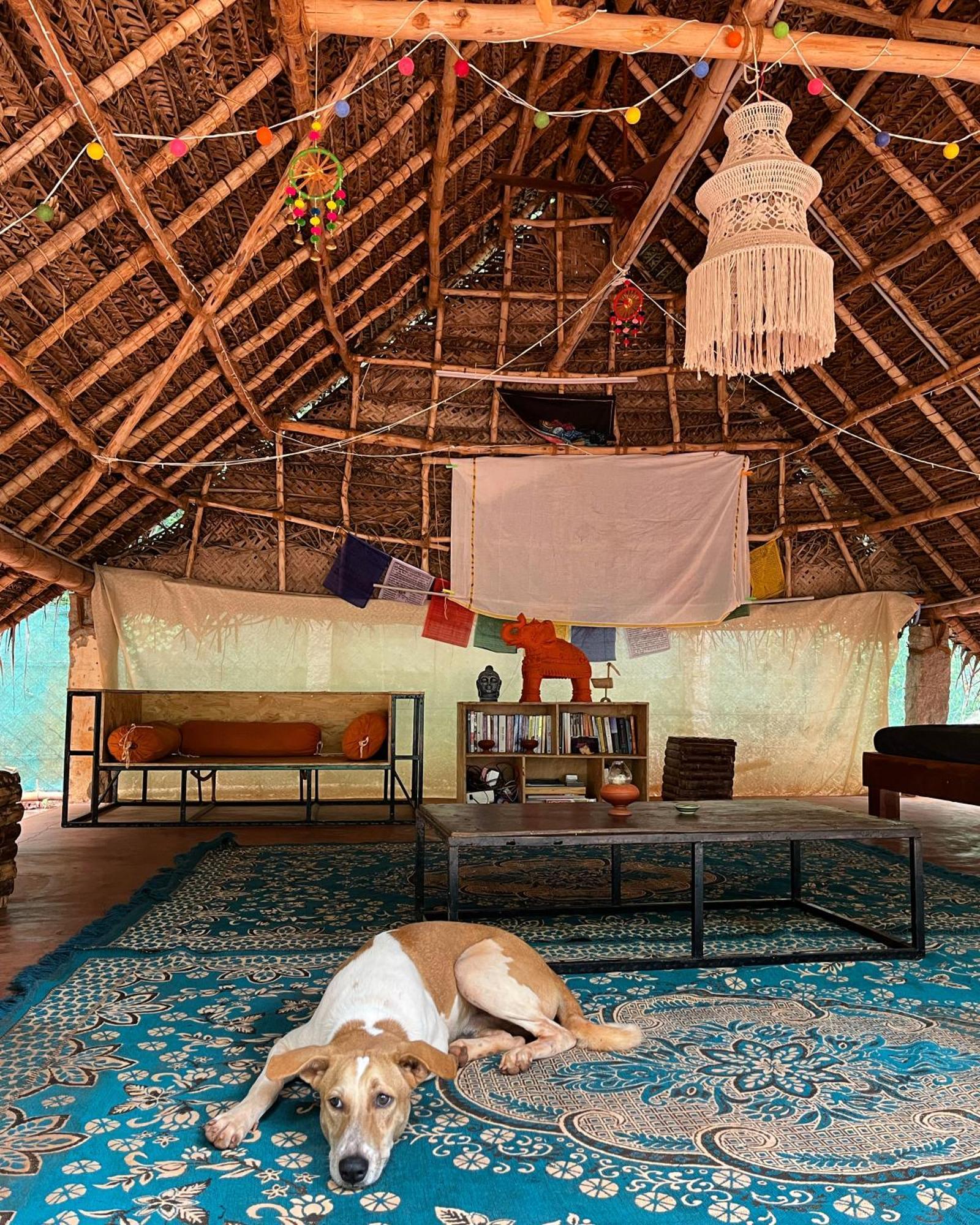 Nebula Nest Cafe & Hostel Auroville Luaran gambar