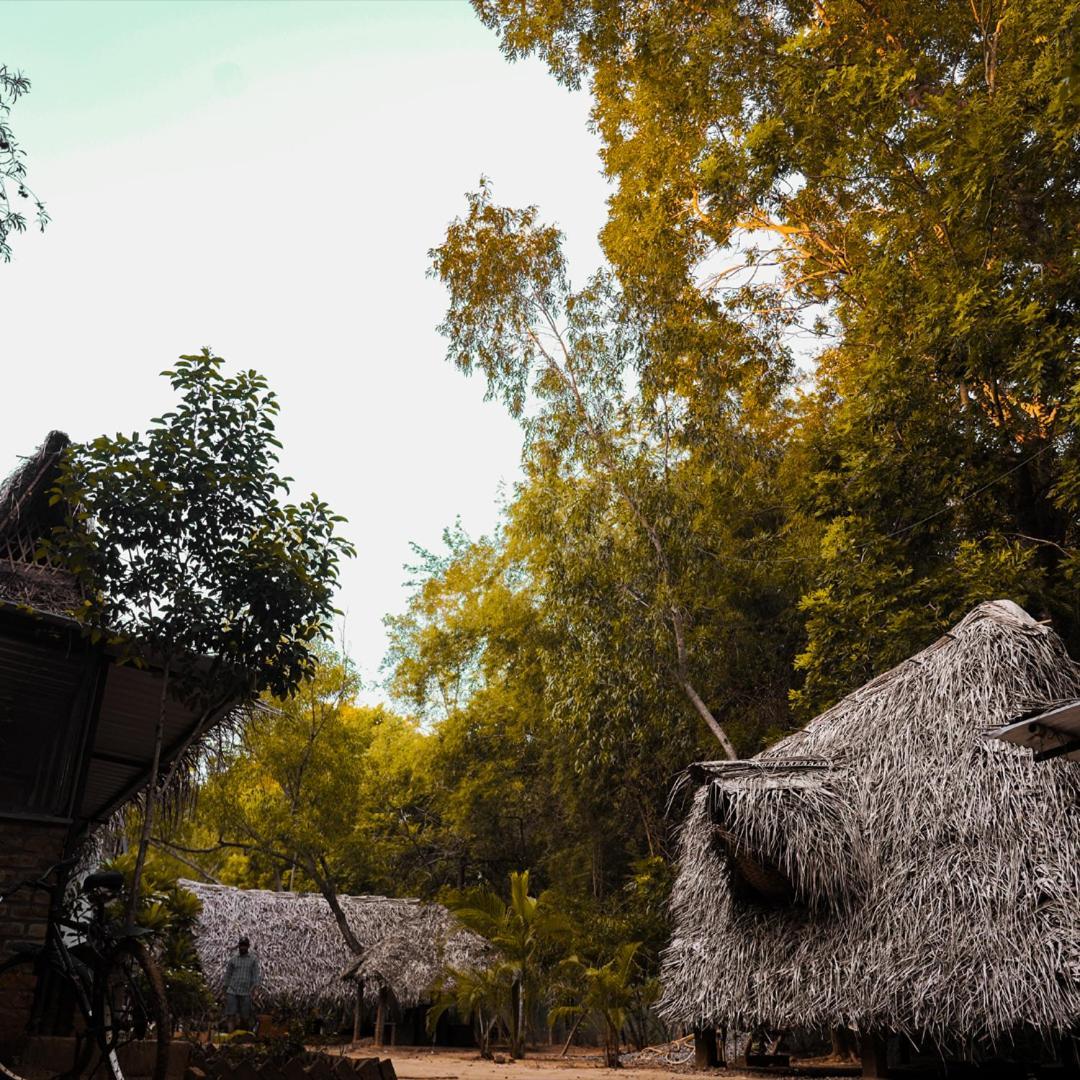 Nebula Nest Cafe & Hostel Auroville Luaran gambar