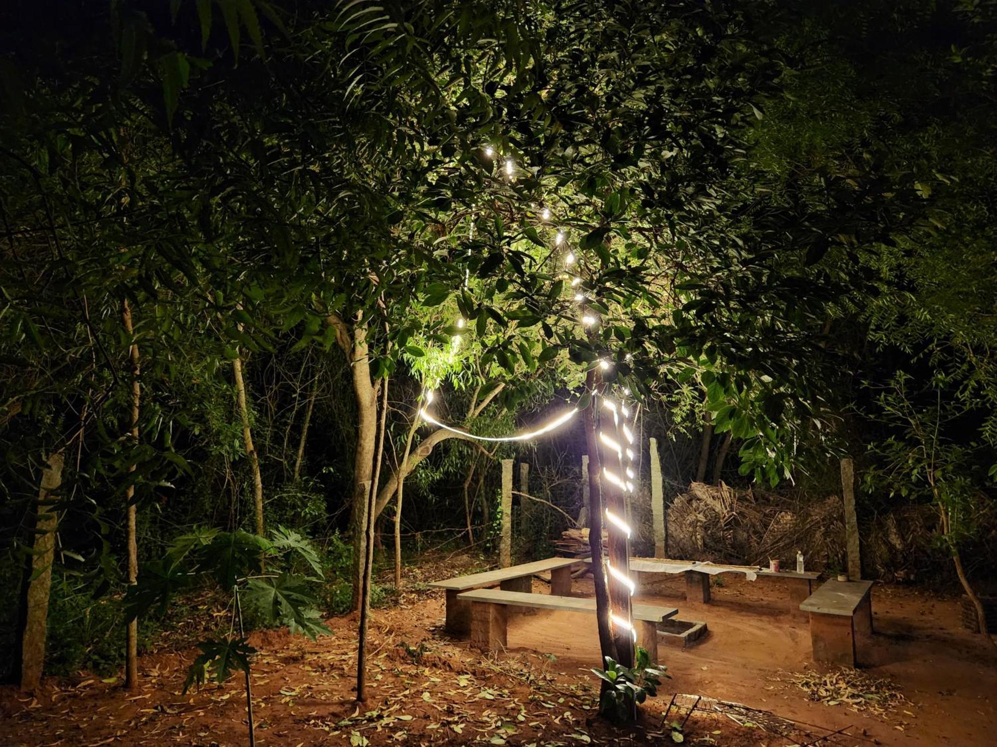 Nebula Nest Cafe & Hostel Auroville Luaran gambar