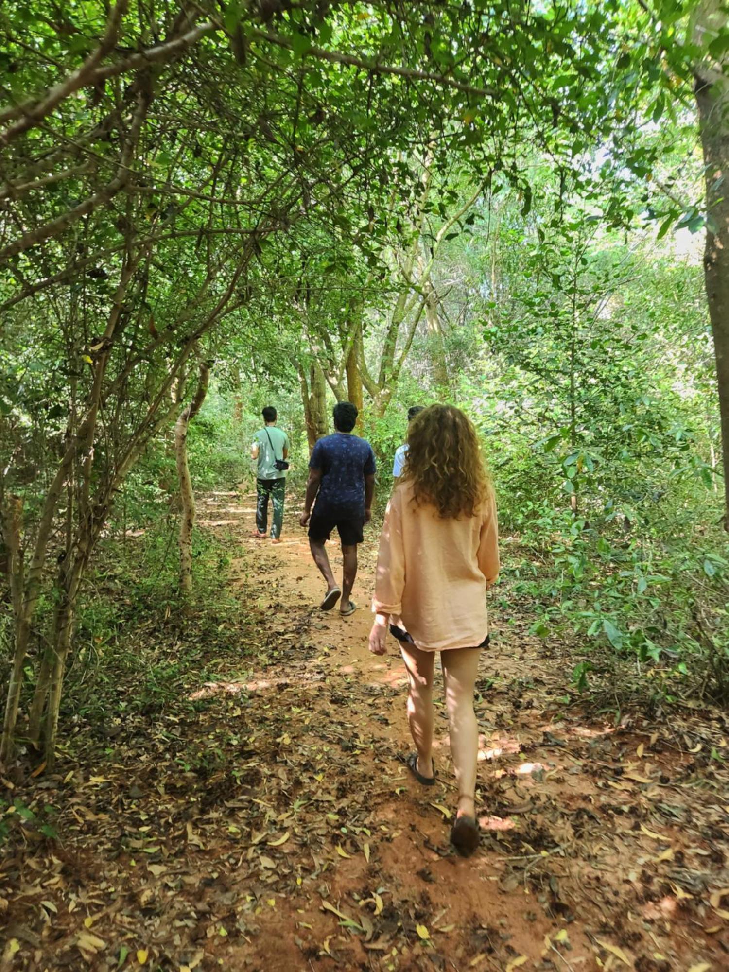 Nebula Nest Cafe & Hostel Auroville Luaran gambar