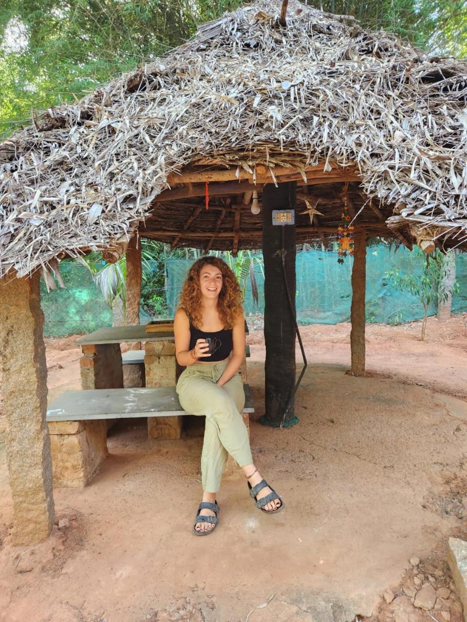 Nebula Nest Cafe & Hostel Auroville Luaran gambar